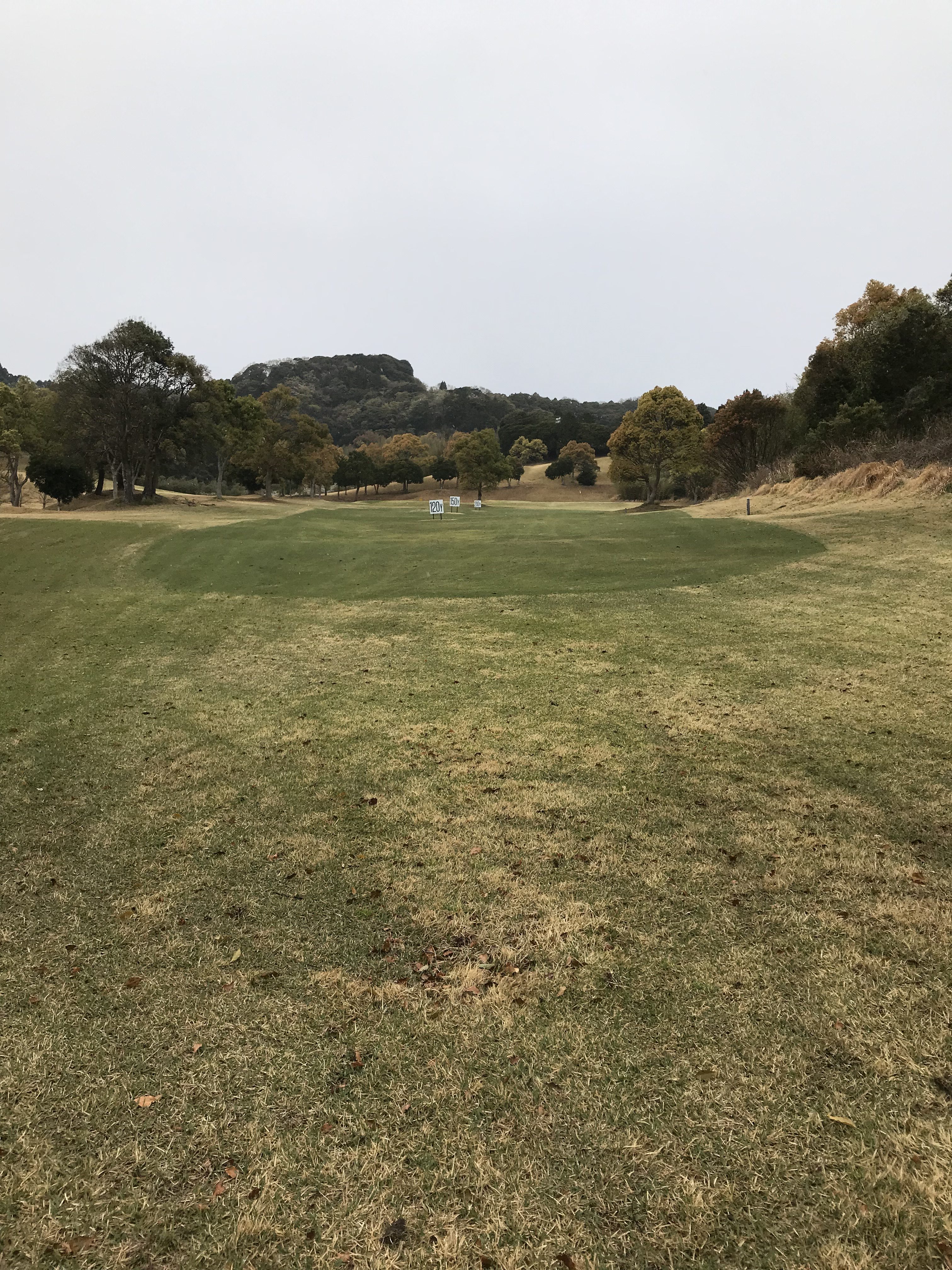 ゴルフ練習（芝から打つ）